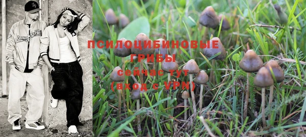 бошки Белоозёрский