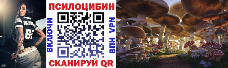 Псилоцибиновые грибы Cubensis  маркетплейс официальный сайт  Оха 